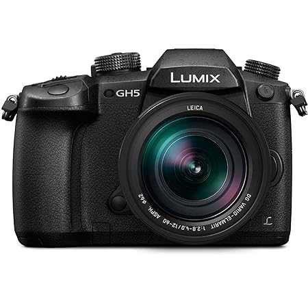 Used Panasonic LUMIX GH5 4K Mirrorless Camera with Lecia Vario-Elmarit 12-60mm F2.8-4.0 Lens